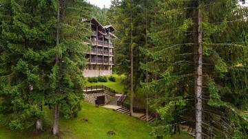 Фотографии Отель Ana Hotels Bradul Poiana Brasov г. Пояна-Брашов (Румыния) №1 Фото Отель Ana Hotels Bradul Poiana Brasov г. Пояна-Брашов 1