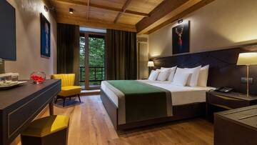 Фотографии Отель Ana Hotels Bradul Poiana Brasov г. Пояна-Брашов (Румыния) №2 Фото Отель Ana Hotels Bradul Poiana Brasov г. Пояна-Брашов 2