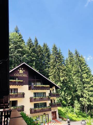 Фотографии Гостевой дом Boutique Hotel Casa Emil г. Пояна-Брашов (Румыния) №5 Фото Гостевой дом Boutique Hotel Casa Emil г. Пояна-Брашов 5