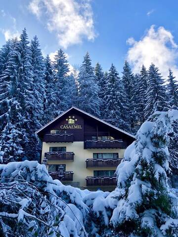 Фотографии Гостевой дом Boutique Hotel Casa Emil г. Пояна-Брашов (Румыния) №3 Фото Гостевой дом Boutique Hotel Casa Emil г. Пояна-Брашов 3