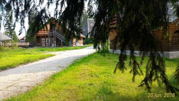 Фото номера Апартаменты - 1-й этаж Лоджи Cabana Fantanita cu Brazi г. Пояна-Брашов 6
