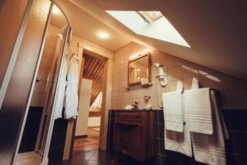 Фото номера Люкс с 1 спальней (для 2 взрослых и 2 детей) Гостевой дом Denisa Boutique Hotel г. Пояна-Брашов 5