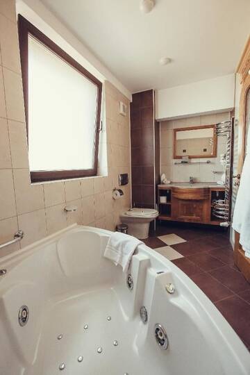 Фото номера Суперлюкс с 1 спальней (2 взрослых + 2 детей) Гостевой дом Denisa Boutique Hotel г. Пояна-Брашов 4