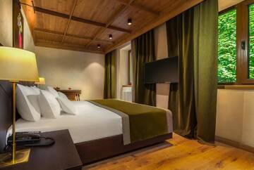 Фото номера Стандартный номер с кроватью размера &quot;queen-size&quot; Отель Ana Hotels Bradul Poiana Brasov г. Пояна-Брашов 4