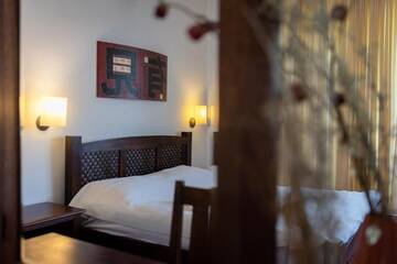 Фото номера Двухместный номер с 1 кроватью Гостевой дом Boutique Hotel Casa Emil г. Пояна-Брашов 41
