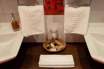 Фото номера Двухместный номер с 1 кроватью Гостевой дом Boutique Hotel Casa Emil г. Пояна-Брашов 38