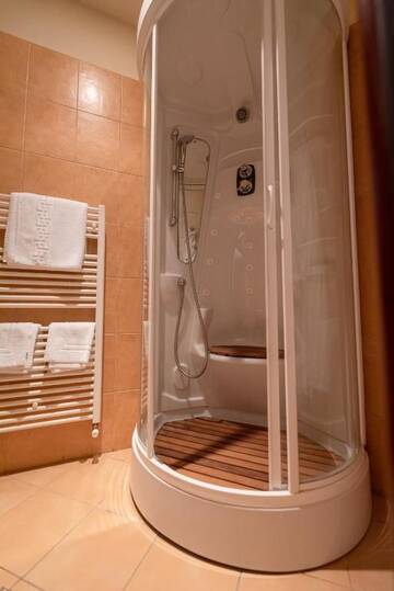 Фото номера Небольшой двухместный номер с 1 кроватью Гостевой дом Boutique Hotel Casa Emil г. Пояна-Брашов 6