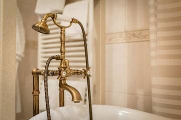 Фото номера Двухместный номер с 1 кроватью Гостевой дом Boutique Hotel Casa Emil г. Пояна-Брашов 10