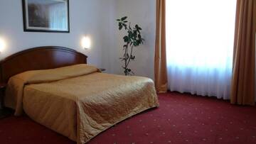 Фото номера Двухместный номер с 1 кроватью Отель Hotel Ruia г. Пояна-Брашов 4