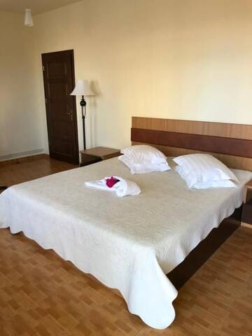 Фото номера Двухместный номер Делюкс с 1 кроватью и балконом Гостевой дом Vila Cristalfrost г. Пояна-Брашов 9