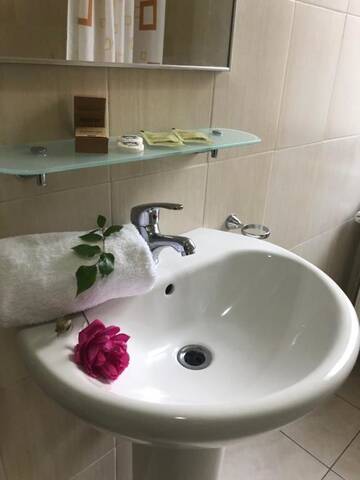 Фото номера Двухместный номер Делюкс с 1 кроватью и балконом Гостевой дом Vila Cristalfrost г. Пояна-Брашов 10