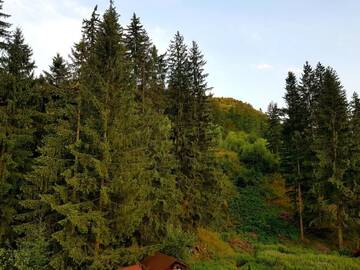 Фото номера Двухместный номер с 1 кроватью и балконом Гостевой дом Top Mountain г. Пояна-Брашов 33