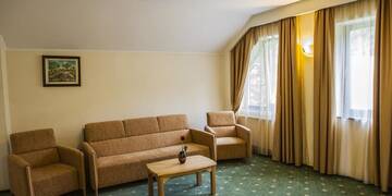 Фото номера Люкс Апарт-отели Aparthotel Casa Viorel г. Пояна-Брашов 4