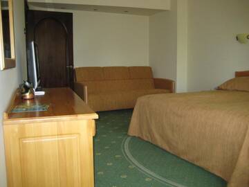 Фото номера Улучшенный двухместный номер с 1 кроватью Апарт-отели Aparthotel Casa Viorel г. Пояна-Брашов 6