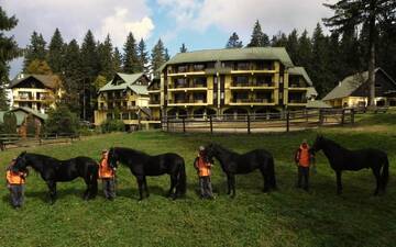 Фотографии Апарт-отели Aparthotel Casa Viorel г. Пояна-Брашов (Румыния) №3 Фото Апарт-отели Aparthotel Casa Viorel г. Пояна-Брашов 3