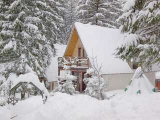 Фото Апарт-отели Traveland Poiana Brașov г. Пояна-Брашов